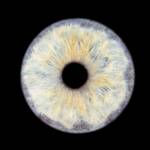 Alicia ROSE - ALICIA ROSE PHOTO