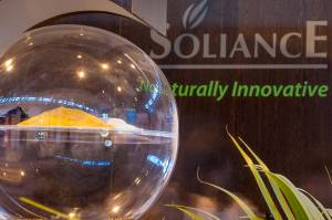 BIGNOLAIS PASCAL - STUDIO NOMADE